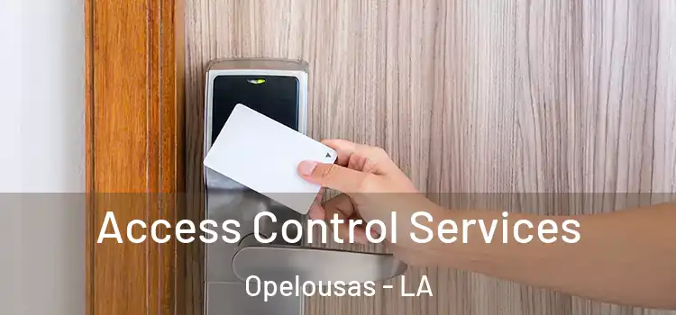  Access Control Services Opelousas - LA