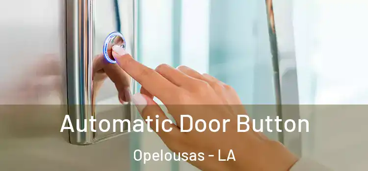  Automatic Door Button Opelousas - LA