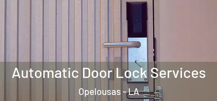Automatic Door Lock Services Opelousas - LA