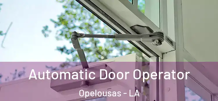  Automatic Door Operator Opelousas - LA
