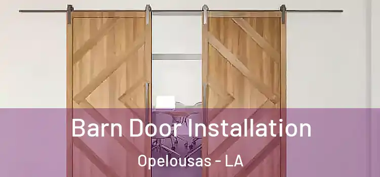  Barn Door Installation Opelousas - LA