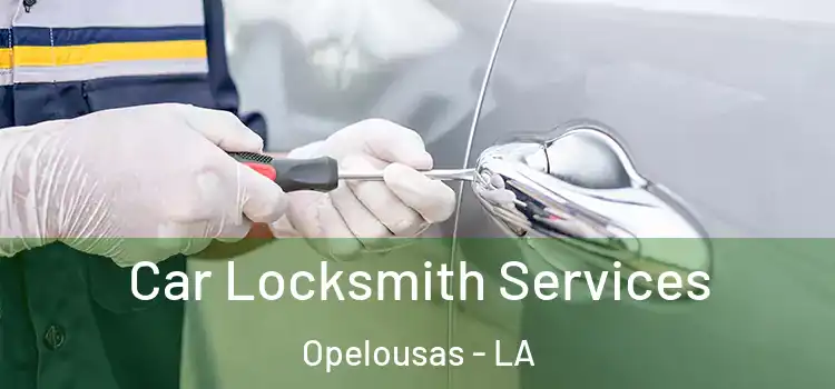 Car Locksmith Services Opelousas - LA