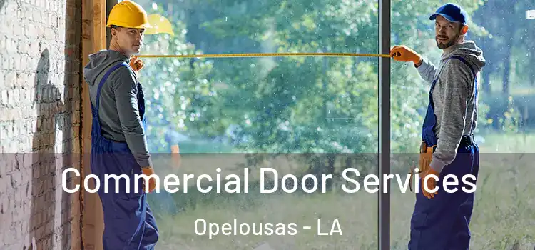  Commercial Door Services Opelousas - LA