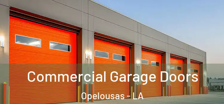  Commercial Garage Doors Opelousas - LA