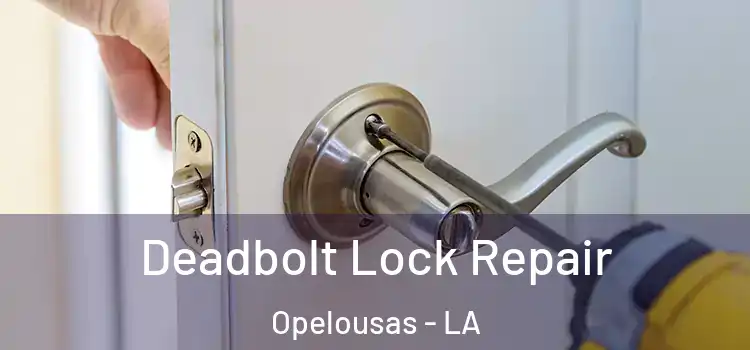  Deadbolt Lock Repair Opelousas - LA