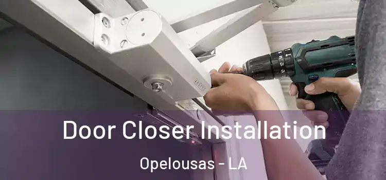  Door Closer Installation Opelousas - LA