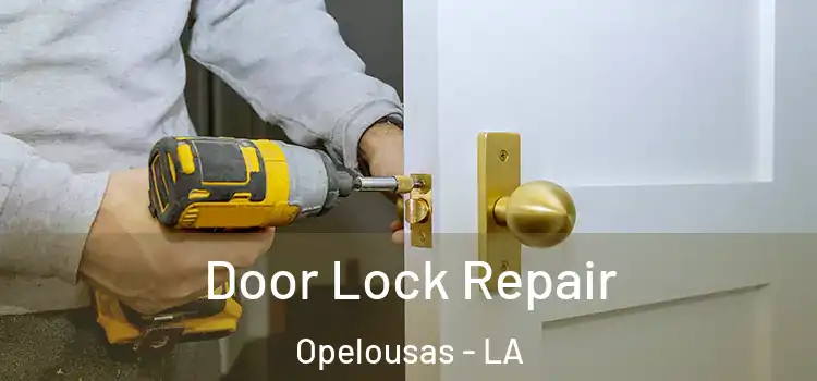 Door Lock Repair Opelousas - LA