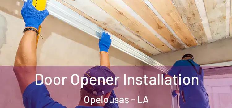  Door Opener Installation Opelousas - LA
