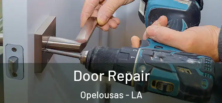  Door Repair Opelousas - LA