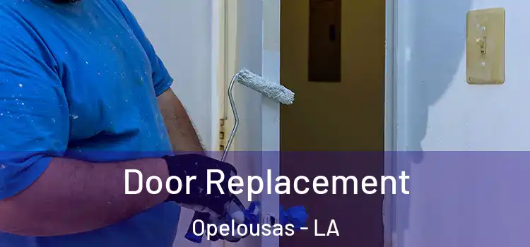  Door Replacement Opelousas - LA
