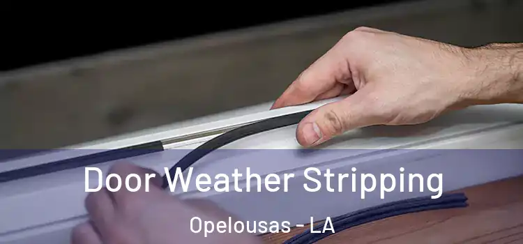  Door Weather Stripping Opelousas - LA