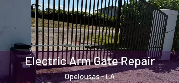  Electric Arm Gate Repair Opelousas - LA
