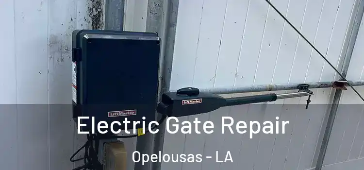  Electric Gate Repair Opelousas - LA