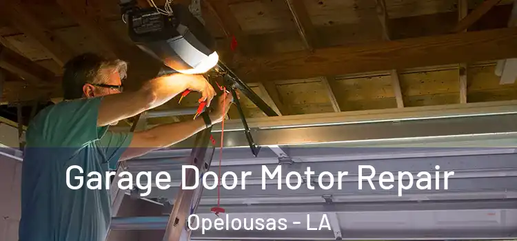 Garage Door Motor Repair Opelousas - LA