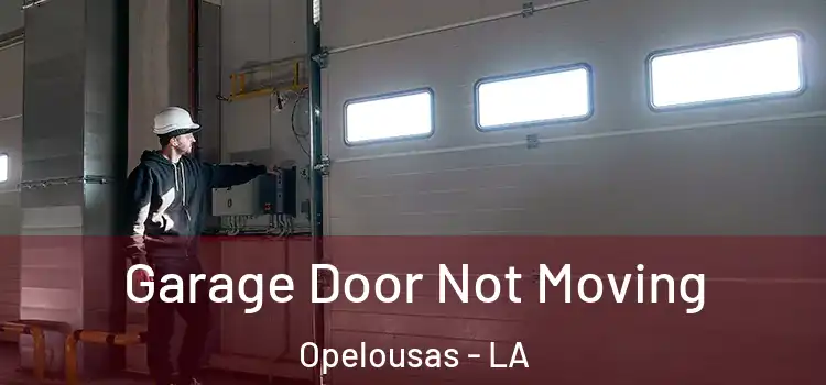 Garage Door Not Moving Opelousas - LA