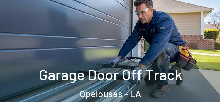  Garage Door Off Track Opelousas - LA