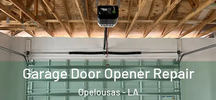  Garage Door Opener Repair Opelousas - LA