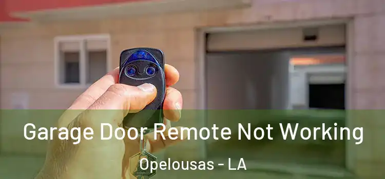  Garage Door Remote Not Working Opelousas - LA
