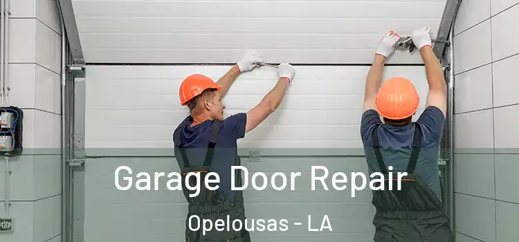  Garage Door Repair Opelousas - LA