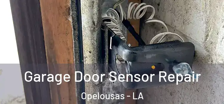 Garage Door Sensor Repair Opelousas - LA