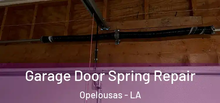  Garage Door Spring Repair Opelousas - LA