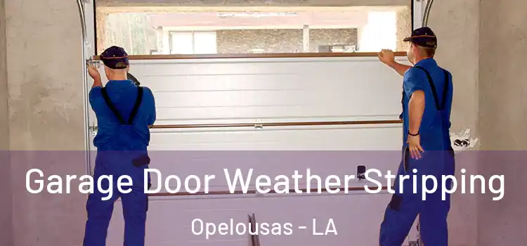  Garage Door Weather Stripping Opelousas - LA