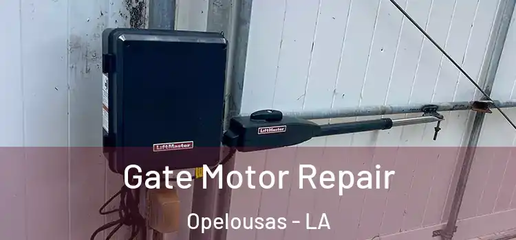  Gate Motor Repair Opelousas - LA