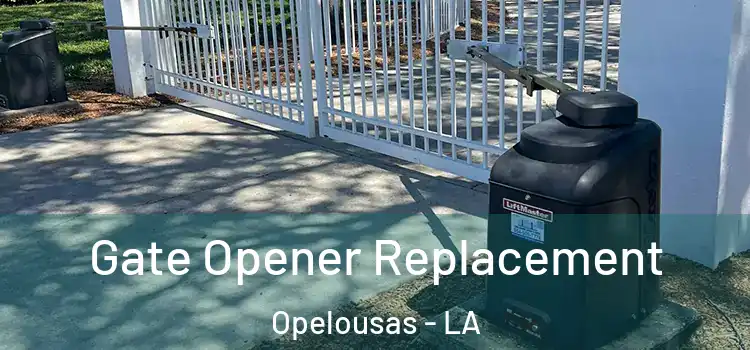  Gate Opener Replacement Opelousas - LA
