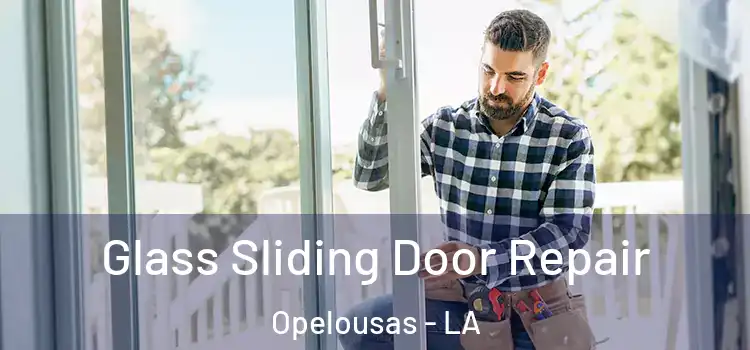 Glass Sliding Door Repair Opelousas - LA