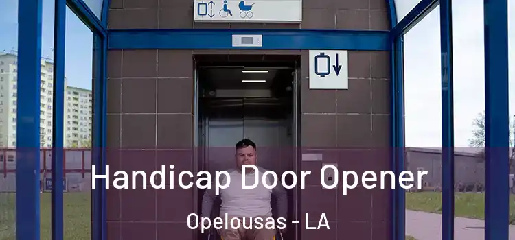  Handicap Door Opener Opelousas - LA