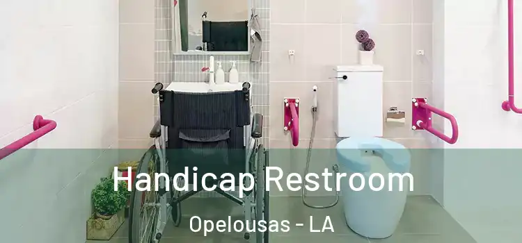  Handicap Restroom Opelousas - LA