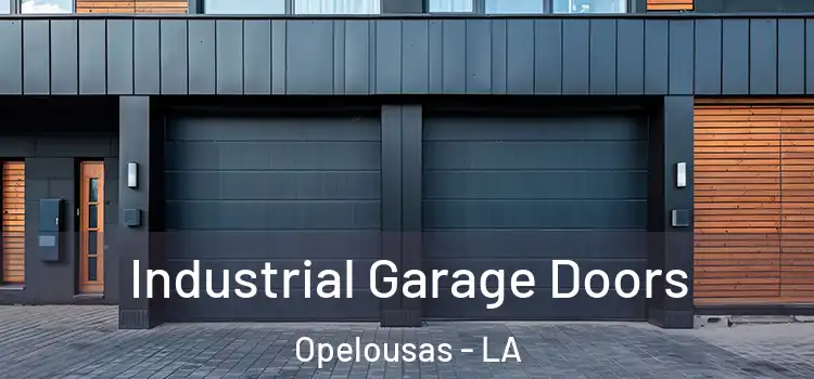  Industrial Garage Doors Opelousas - LA