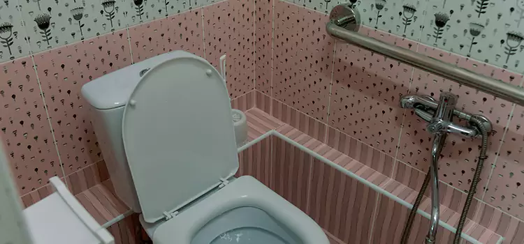 Meeting Diverse Needs With Accessible Restroom Solutions in Opelousas, LA