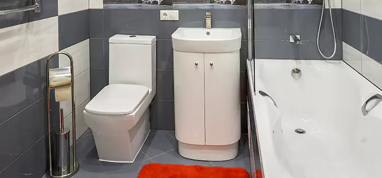 Hansgrohe Shaving Mirror Opelousas