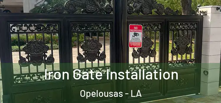  Iron Gate Installation Opelousas - LA