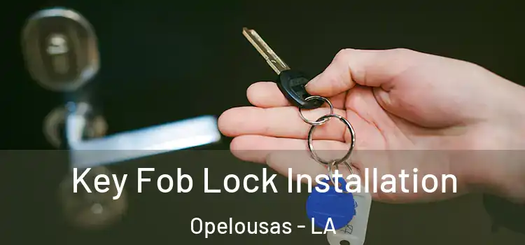  Key Fob Lock Installation Opelousas - LA