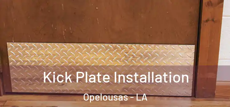  Kick Plate Installation Opelousas - LA