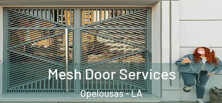  Mesh Door Services Opelousas - LA