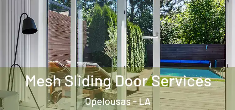  Mesh Sliding Door Services Opelousas - LA