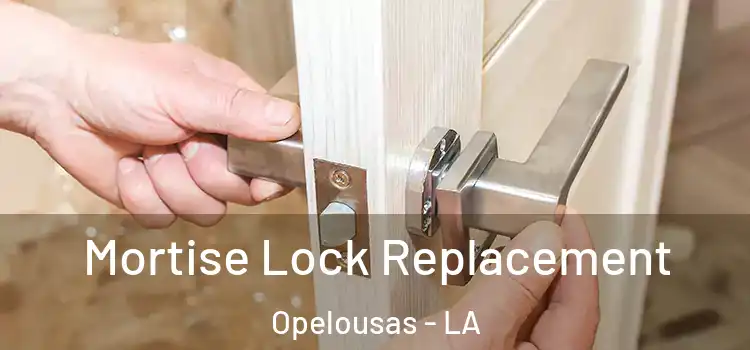  Mortise Lock Replacement Opelousas - LA