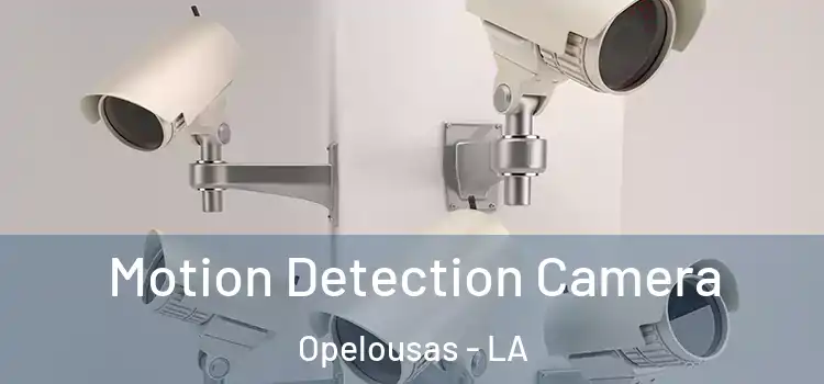  Motion Detection Camera Opelousas - LA