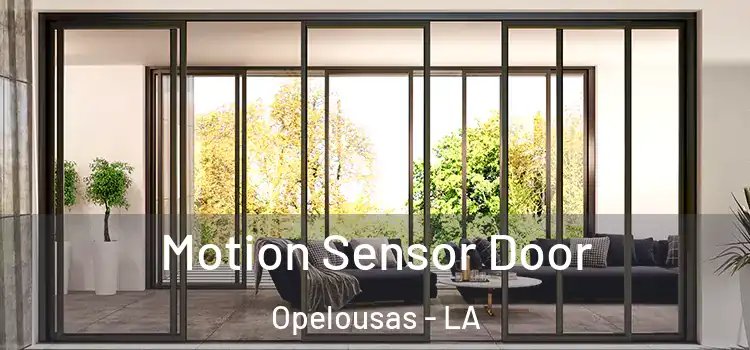  Motion Sensor Door Opelousas - LA