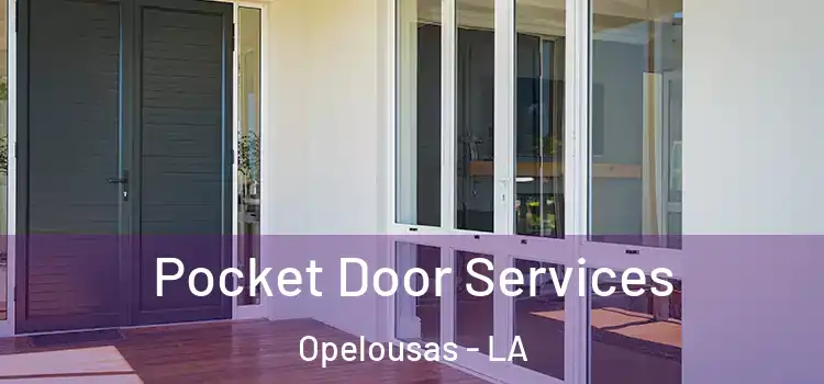  Pocket Door Services Opelousas - LA