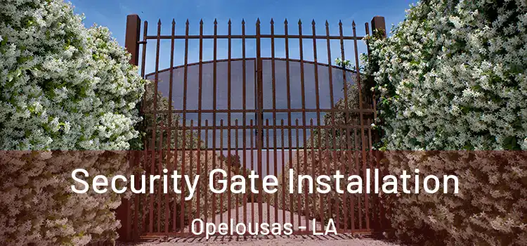 Security Gate Installation Opelousas - LA