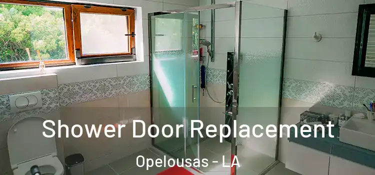  Shower Door Replacement Opelousas - LA