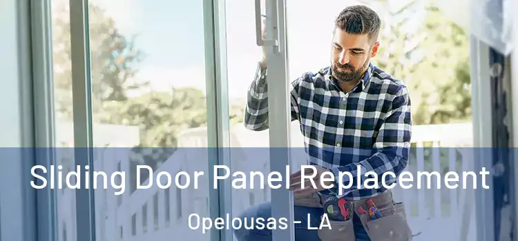  Sliding Door Panel Replacement Opelousas - LA