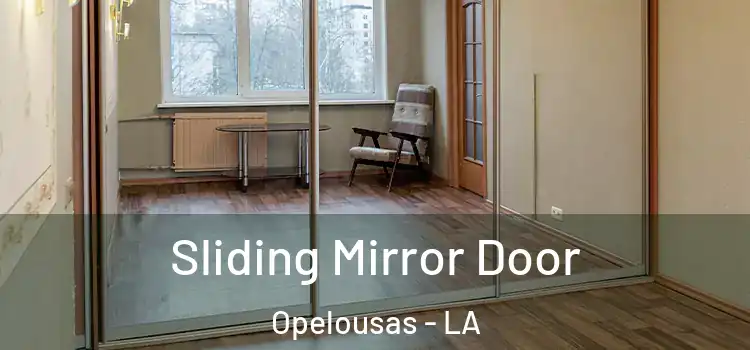  Sliding Mirror Door Opelousas - LA