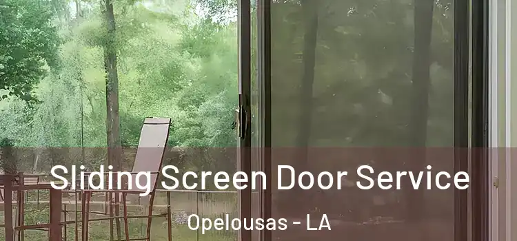  Sliding Screen Door Service Opelousas - LA