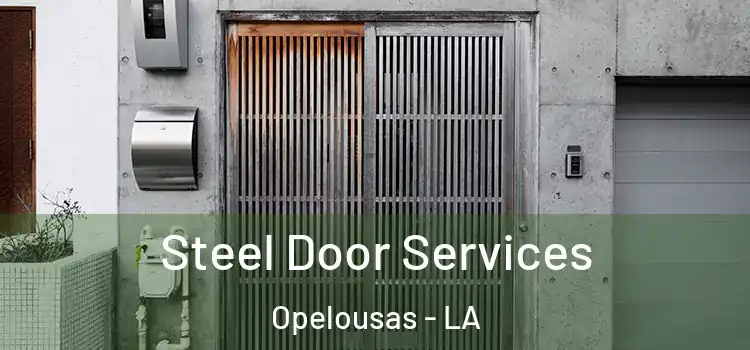  Steel Door Services Opelousas - LA