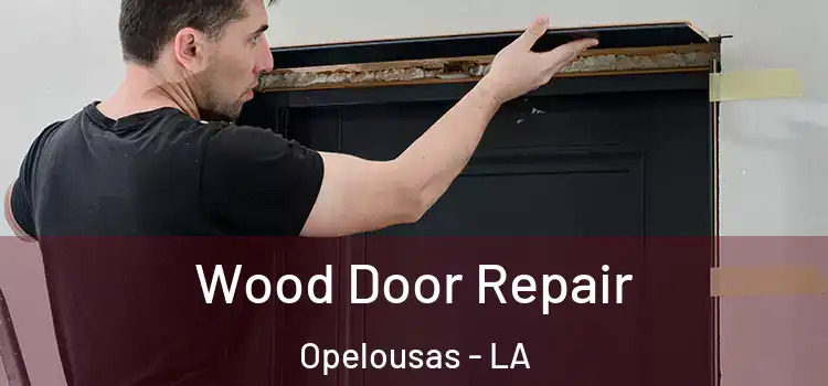 Wood Door Repair Opelousas - LA